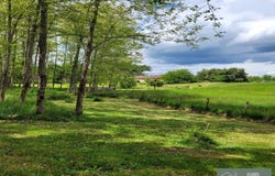 Bazas, Aquitaine 33430