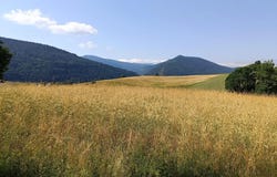 Villard-de-Lans, Isère 38250