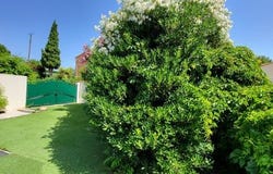 Tresserre, Languedoc-Roussillon 66300