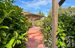 Monticello, Corsica 20220