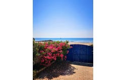 Frontignan, Languedoc-Roussillon 34110