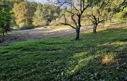 Castelnau-d'Estretefonds, Midi-Pyrénées 31620