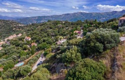 Monticello, Corsica 20220