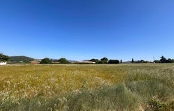 PAULIGNE, Occitanie 11300