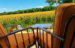 Champniers, Nouvelle-Aquitaine 86400