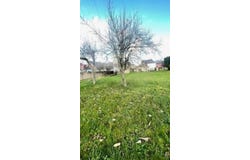 Osenbach, Alsace 68570
