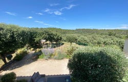 Saint-Maximin, Languedoc-Roussillon 30700