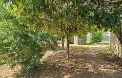 Vincelles, Yonne 89290