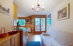 134 Chemin de la Vora, Châtel, Haute-Savoie 74390