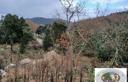 Montclus, Languedoc-Roussillon 30630