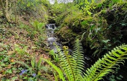 Plounerin, Bretagne 22780