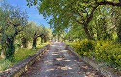 Castillon-du-Gard, Languedoc-Roussillon 30210