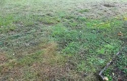 Cande, Pays de la Loire 49440