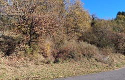 La Canourgue, Lozère 48500