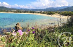 Palasca, Corsica 20226