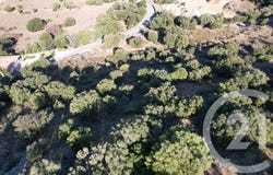 Monticello, Corsica 20220