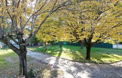 Castelnau-le-Lez, Languedoc-Roussillon 34170