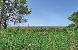 Gujan-Mestras, Nouvelle-Aquitaine 33470