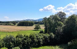 Laizy, Burgundy 71190
