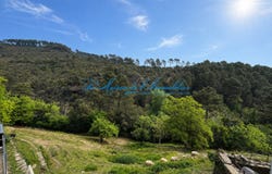 Saint-Paul-la-Coste, Languedoc-Roussillon 30480