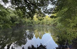 TERRE CLAPIER, Occitanie 81120