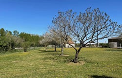 Pouançay, Vienne 86120