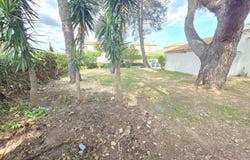 Frontignan, Languedoc-Roussillon 34110