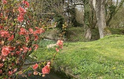 Mortagne-sur-Gironde, Nouvelle-Aquitaine 17120