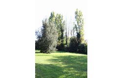 Sarzeau, Morbihan 56370