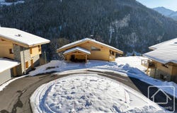 Abondance, Rhône-Alpes 74360