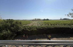 Ordonnac, Aquitaine 33340