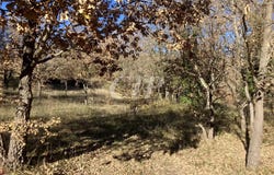 Quinson, Alpes-de-Haute-Provence 04500