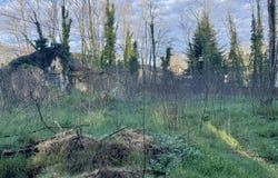 Saint-Selve, Gironde 33650