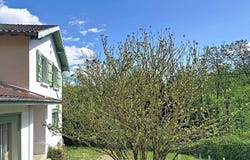 Castanet-Tolosan, Midi-Pyrénées 31320
