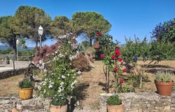 BEDARIEUX, Occitanie 34600