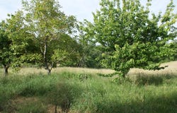 Condezaygues, Aquitaine 47500