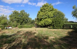 Millay, Burgundy 58170