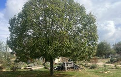Marcigny, Burgundy 71110