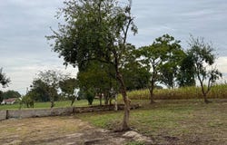 Pomarez, Landes 40360