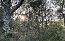 Barjols, Var 83670