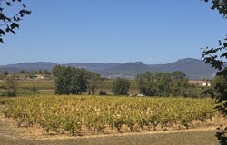 Popian, Languedoc-Roussillon 34230