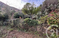 Occhiatana, Corsica 20226