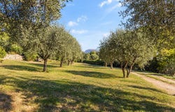 Valbonne, Provence-Alpes-Côte d'Azur 06560