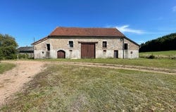Brassy, Burgundy 58140
