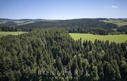 Jonzieux, Auvergne-Rhône-Alpes 42660