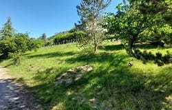 Mostuéjouls, Midi-Pyrénées 12720