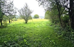 Landresse, Franche-Comté 25530