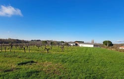 Saint-Macaire, Gironde 33490