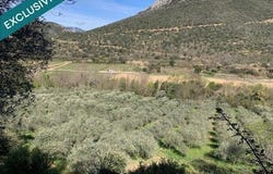 Ansignan, Languedoc-Roussillon 66220
