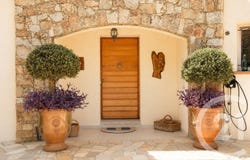 Monticello, Corsica 20220